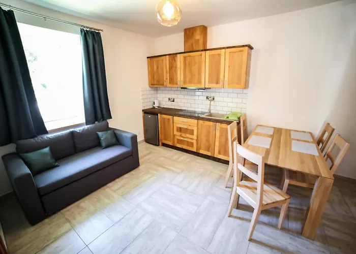 Apartamenty Willa Wadolowski